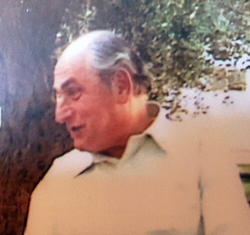 Portrait of Faisal Husseini, Politics & Diplomacy