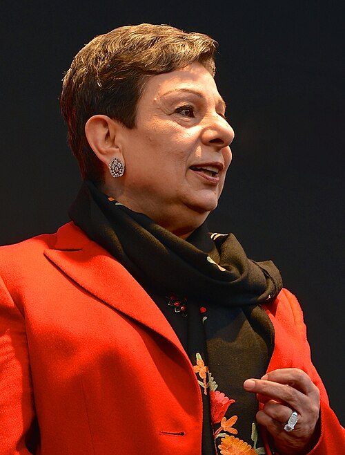 Portrait of Hanan Ashrawi, Politics & Diplomacy
