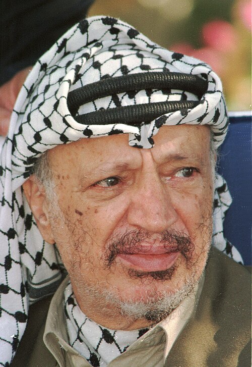 Portrait of Yasser Arafat, Politics & Diplomacy